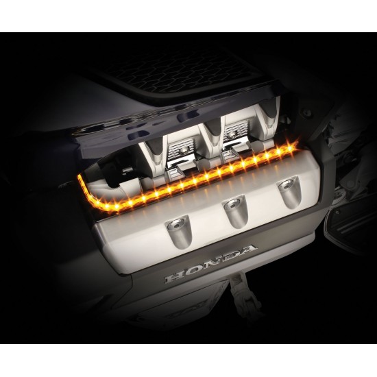 Goldstrike LED Engine Lighting Panels